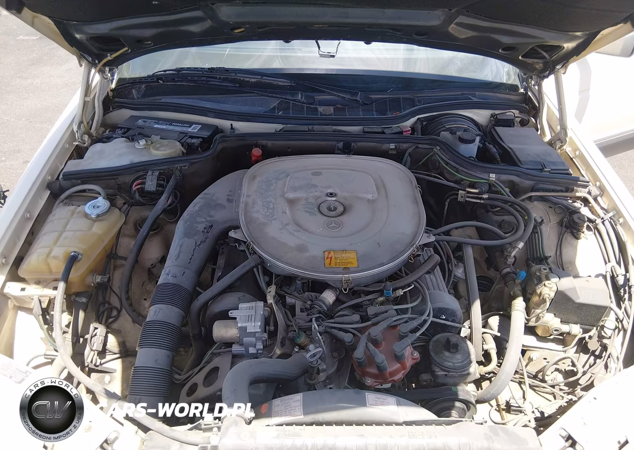 1986 Mercedes-Benz 420 Sel VIN:WDBCA35D0GA226890 - 10