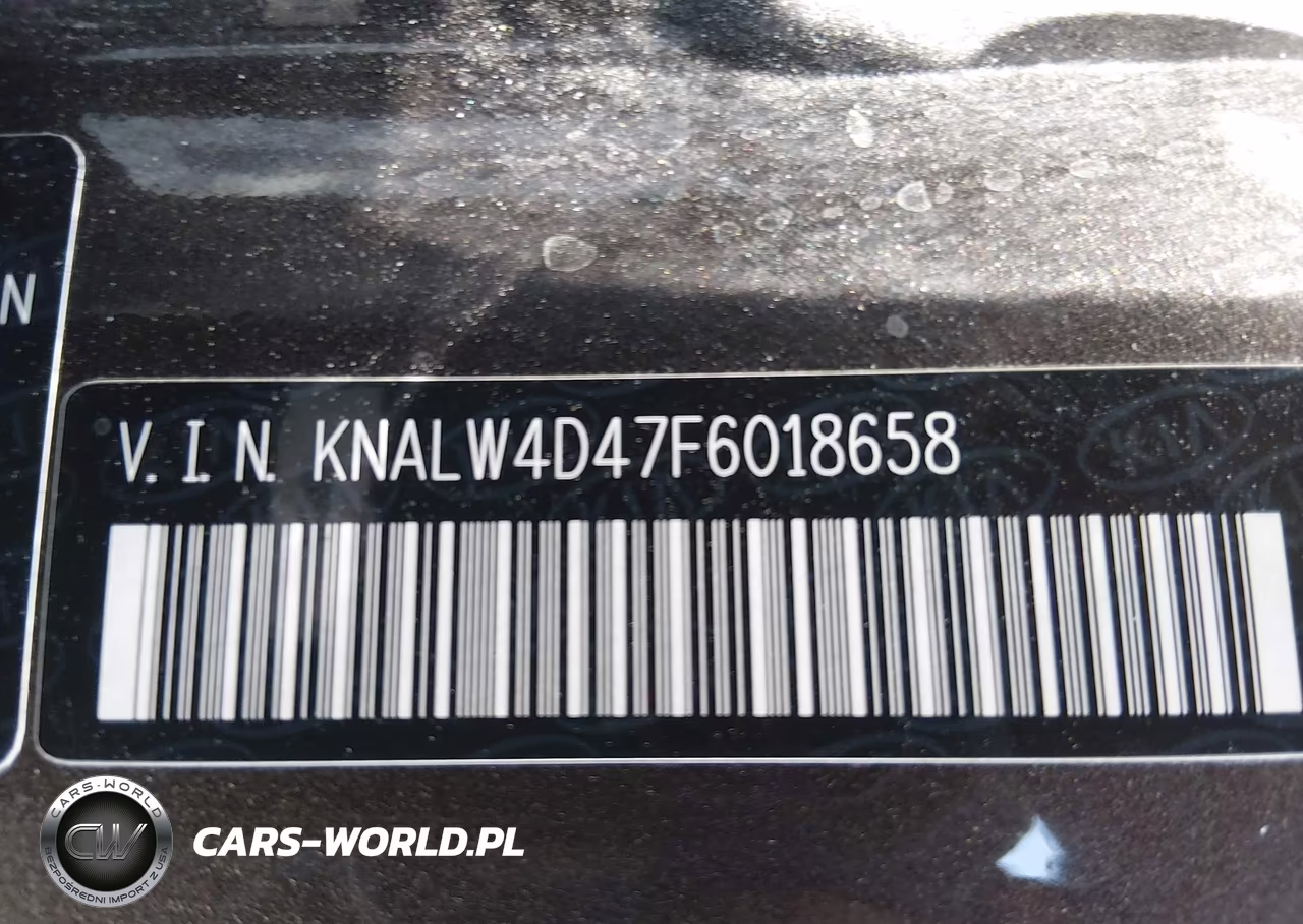 2015 Kia K900 Luxury VIN:KNALW4D47F6018658 - 9