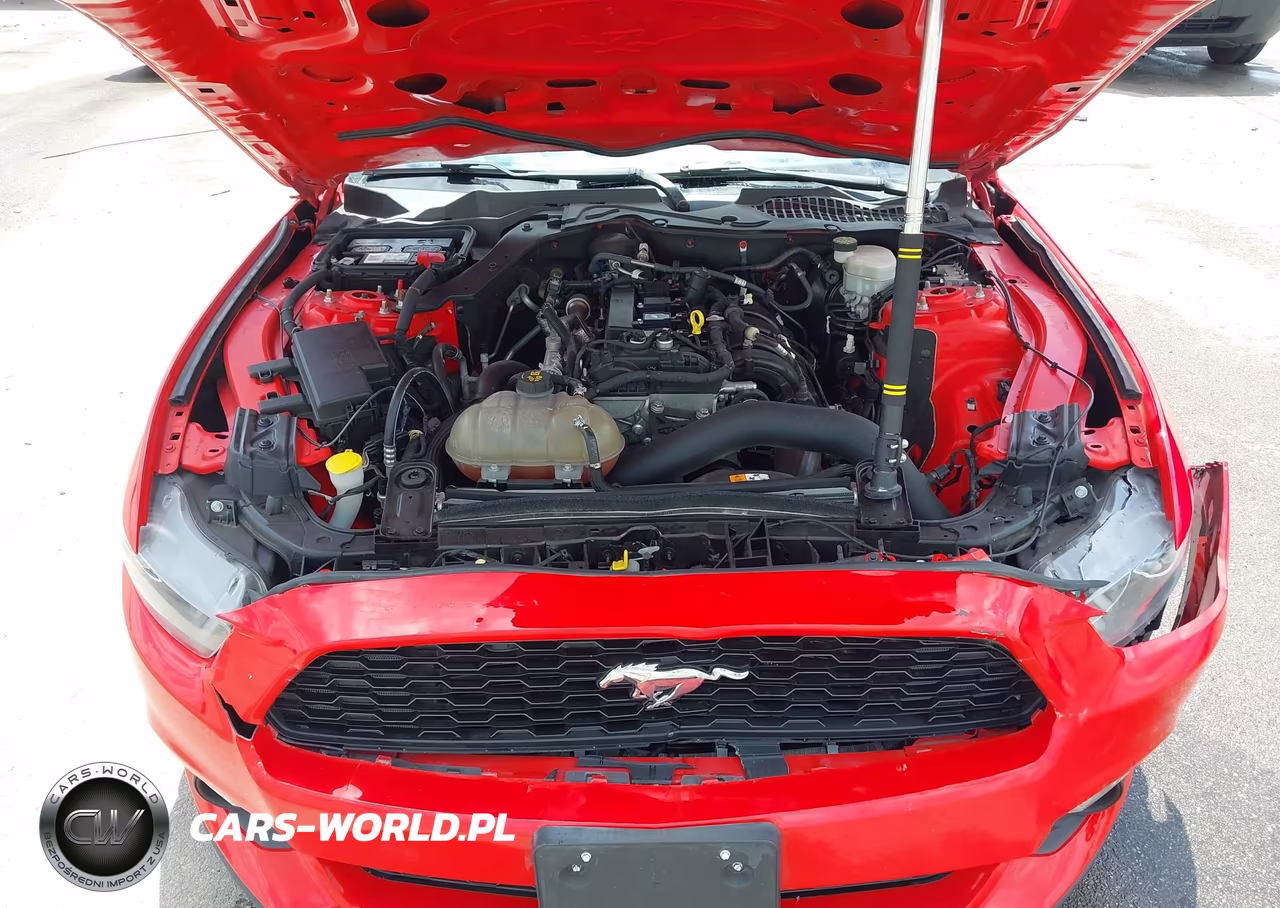 2017 Ford Mustang Ecoboost VIN:1FA6P8TH4H5239383 - 10