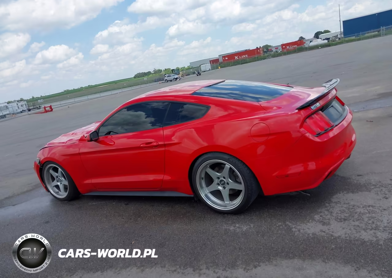 2017 Ford Mustang Ecoboost VIN:1FA6P8TH4H5239383 - 14