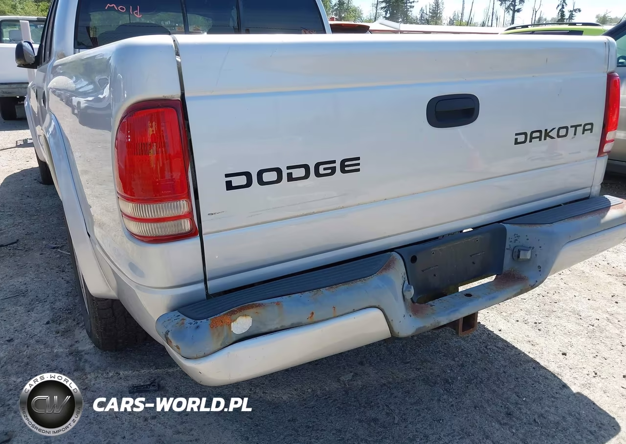 2003 Dodge Dakota Sport-Sxt VIN:1D7HL38N03S132377 - 6