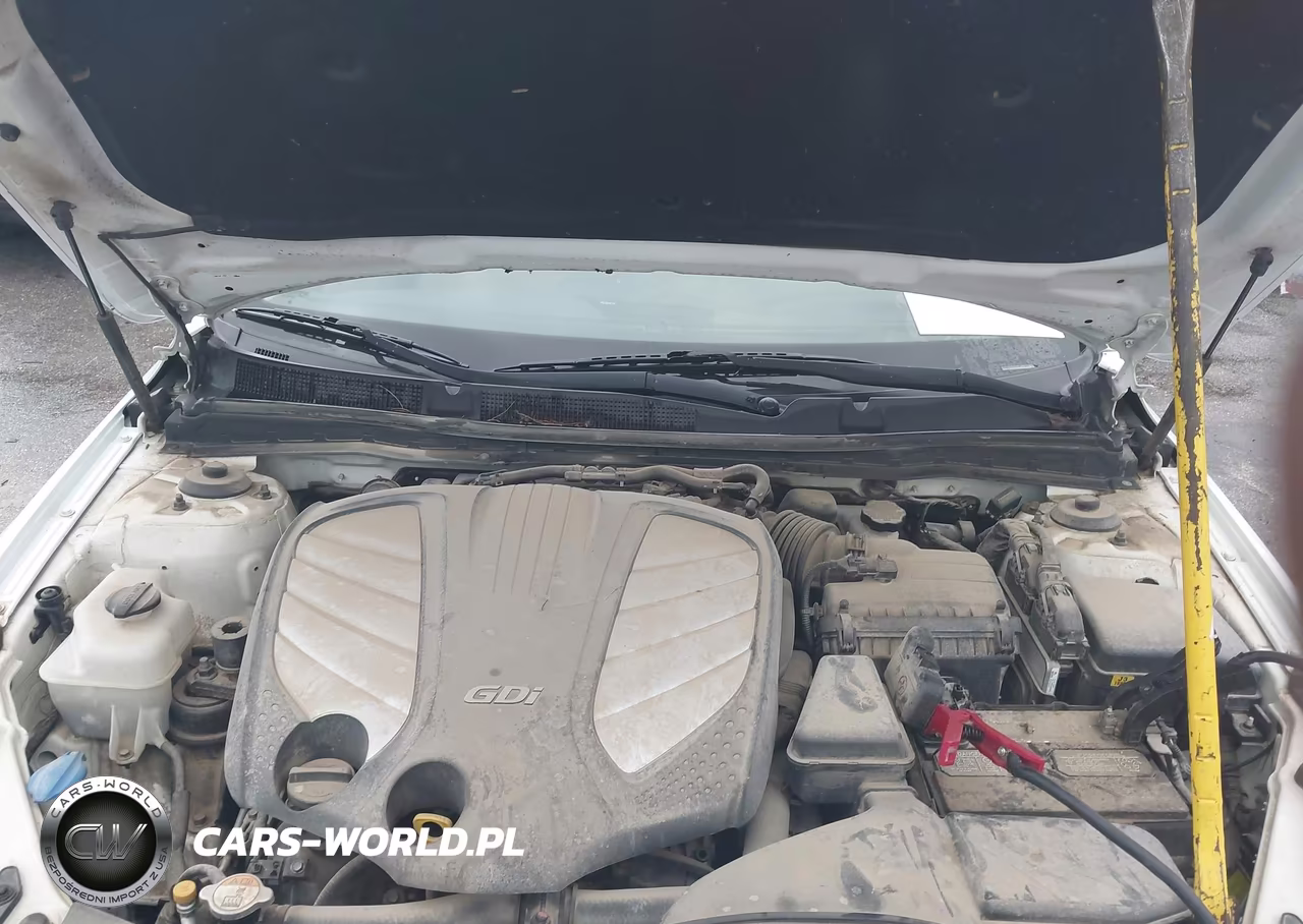 2014 Kia Cadenza Premium VIN:KNALN4D7XE5135099 - 10