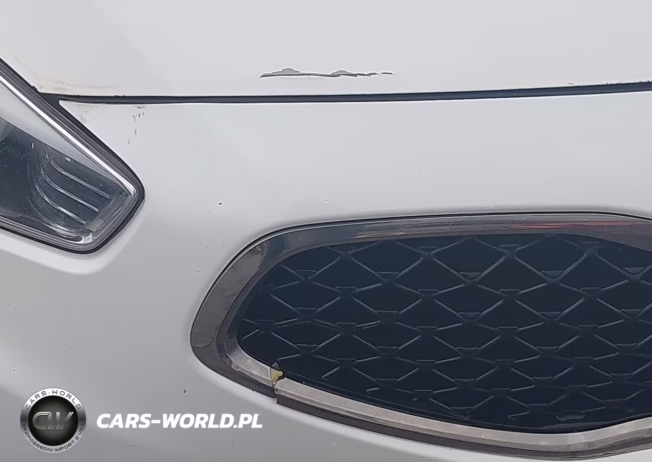 2014 Kia Cadenza Premium VIN:KNALN4D7XE5135099 - 12