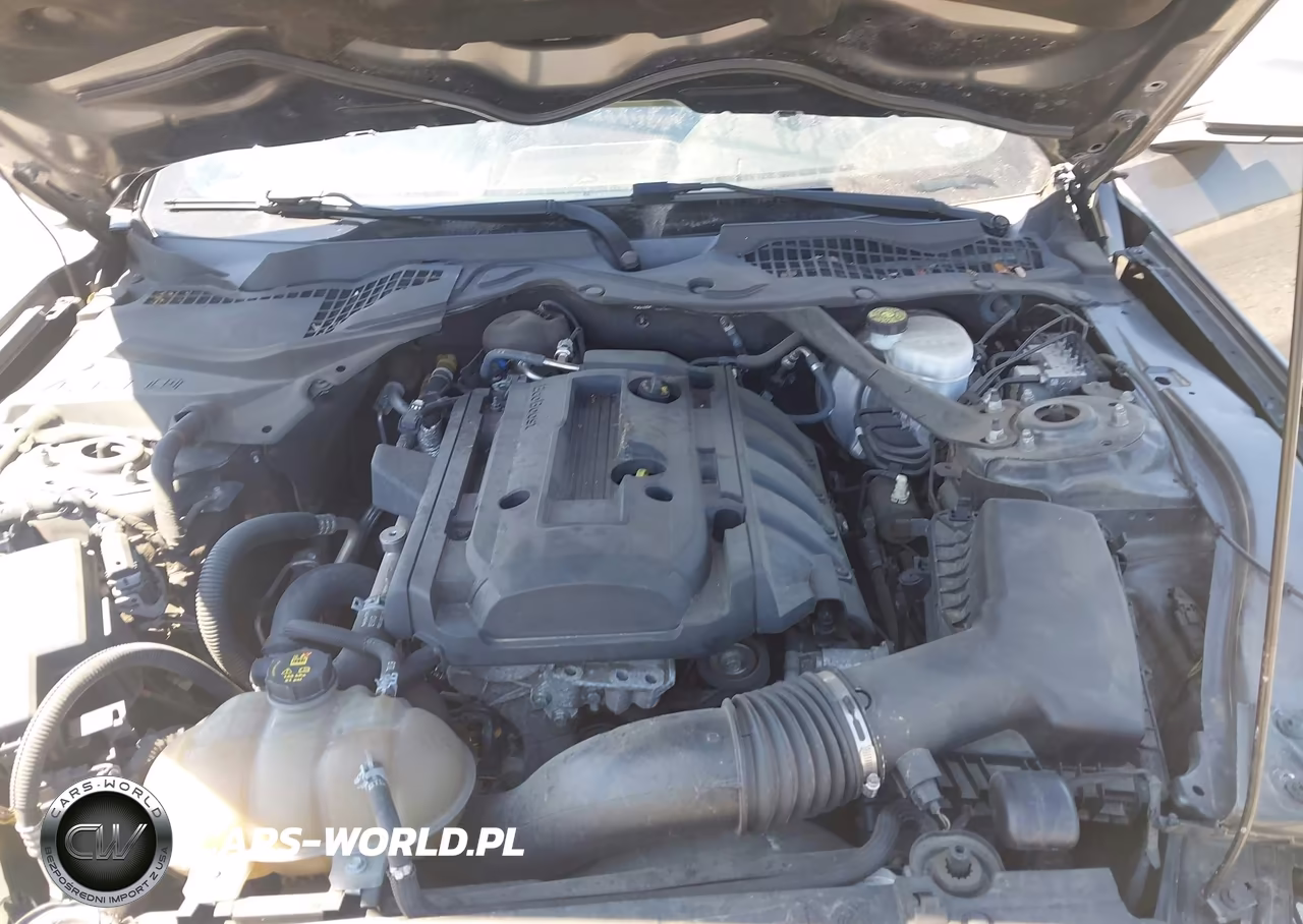 2019 Ford Mustang Ecoboost Premium VIN:1FATP8UH6K5158684 - 10