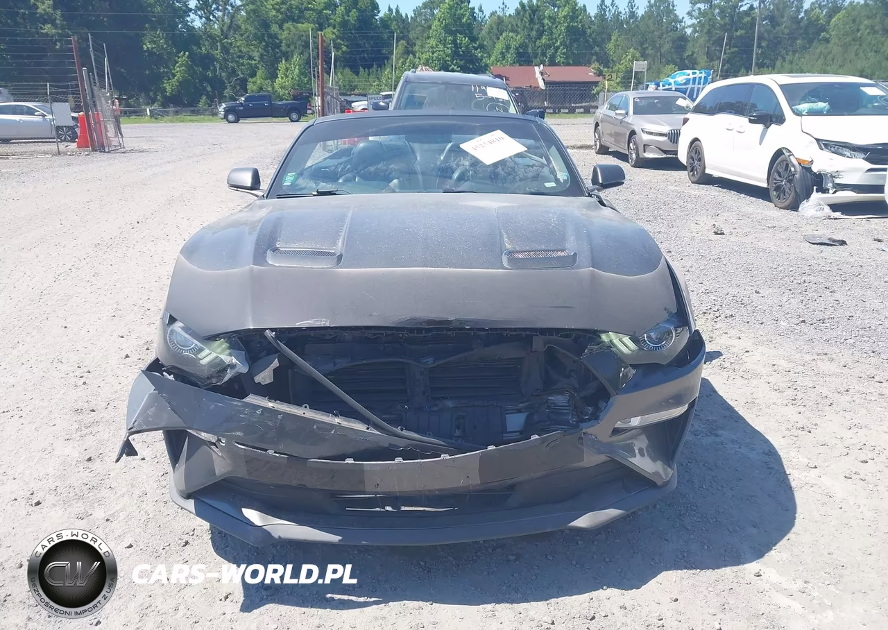 2019 Ford Mustang Ecoboost Premium VIN:1FATP8UH6K5158684 - 13