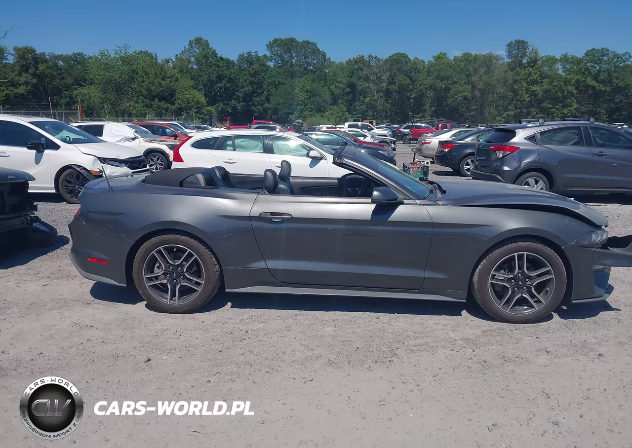 2019 Ford Mustang Ecoboost Premium VIN:1FATP8UH6K5158684 - 14