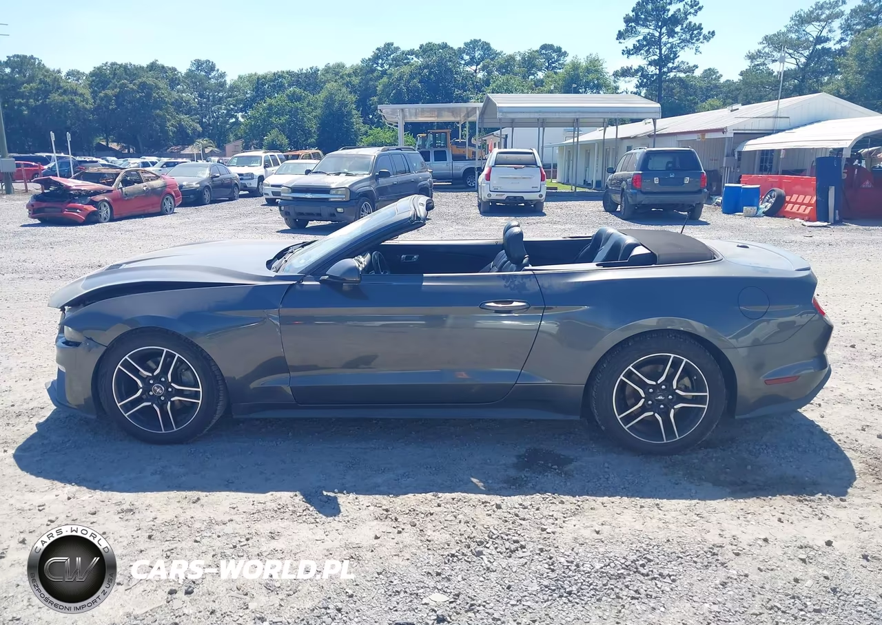 2019 Ford Mustang Ecoboost Premium VIN:1FATP8UH6K5158684 - 15
