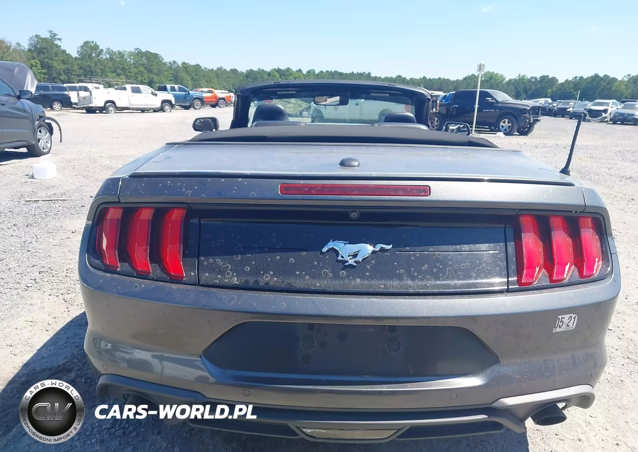 2019 Ford Mustang Ecoboost Premium VIN:1FATP8UH6K5158684 - 17