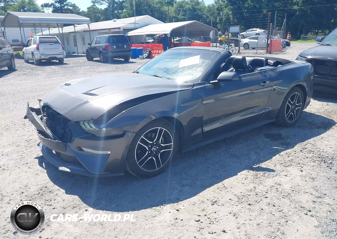 2019 Ford Mustang Ecoboost Premium VIN:1FATP8UH6K5158684 - 2