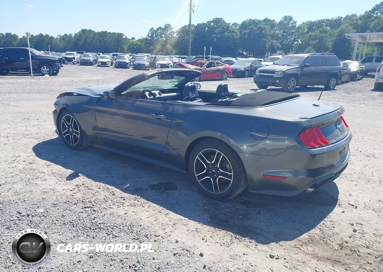 2019 Ford Mustang Ecoboost Premium VIN:1FATP8UH6K5158684 - 3