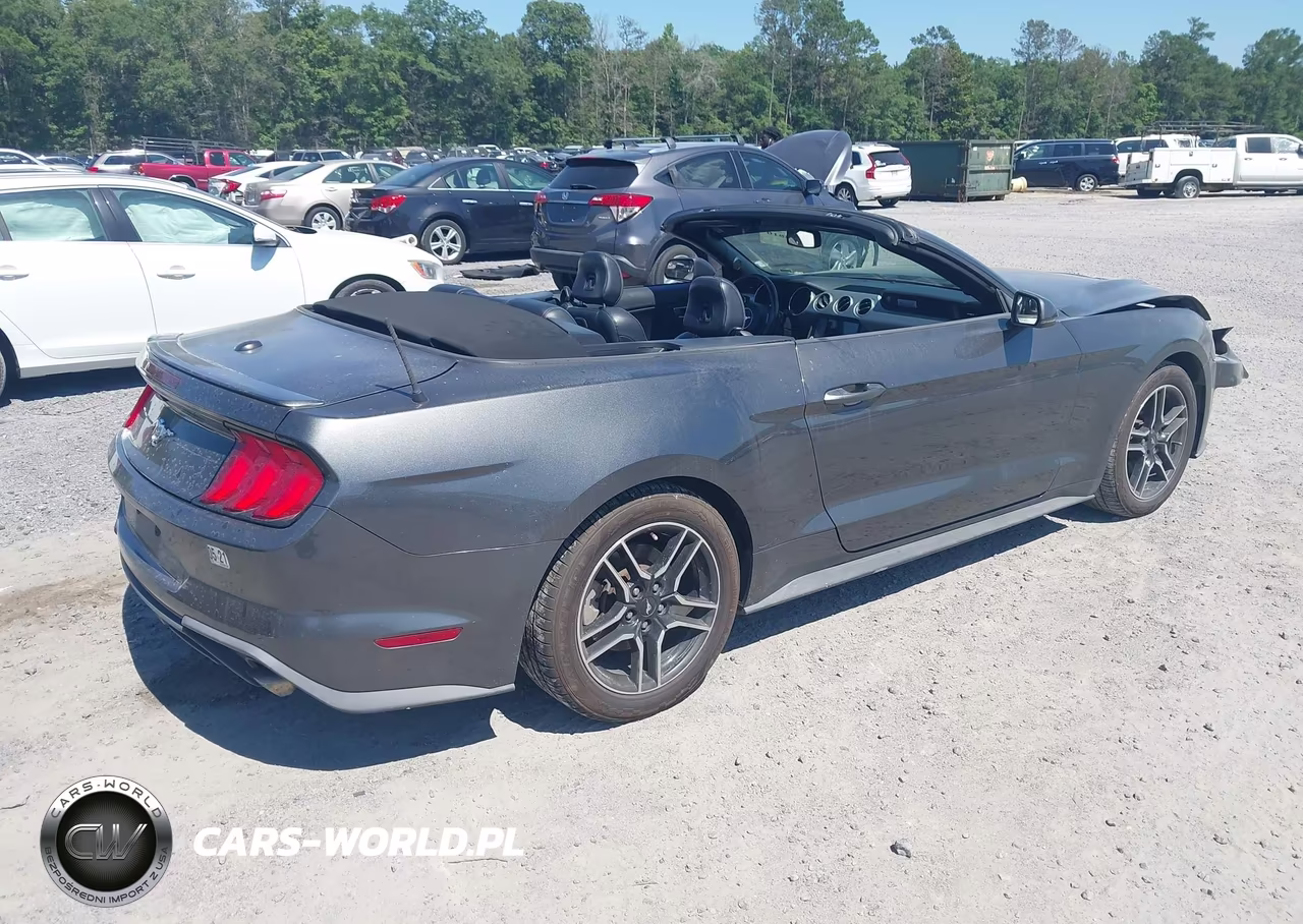 2019 Ford Mustang Ecoboost Premium VIN:1FATP8UH6K5158684 - 4