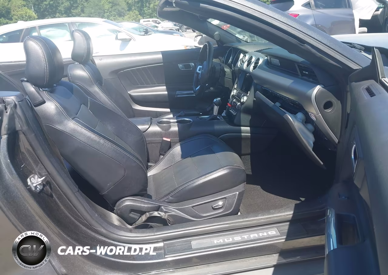 2019 Ford Mustang Ecoboost Premium VIN:1FATP8UH6K5158684 - 5