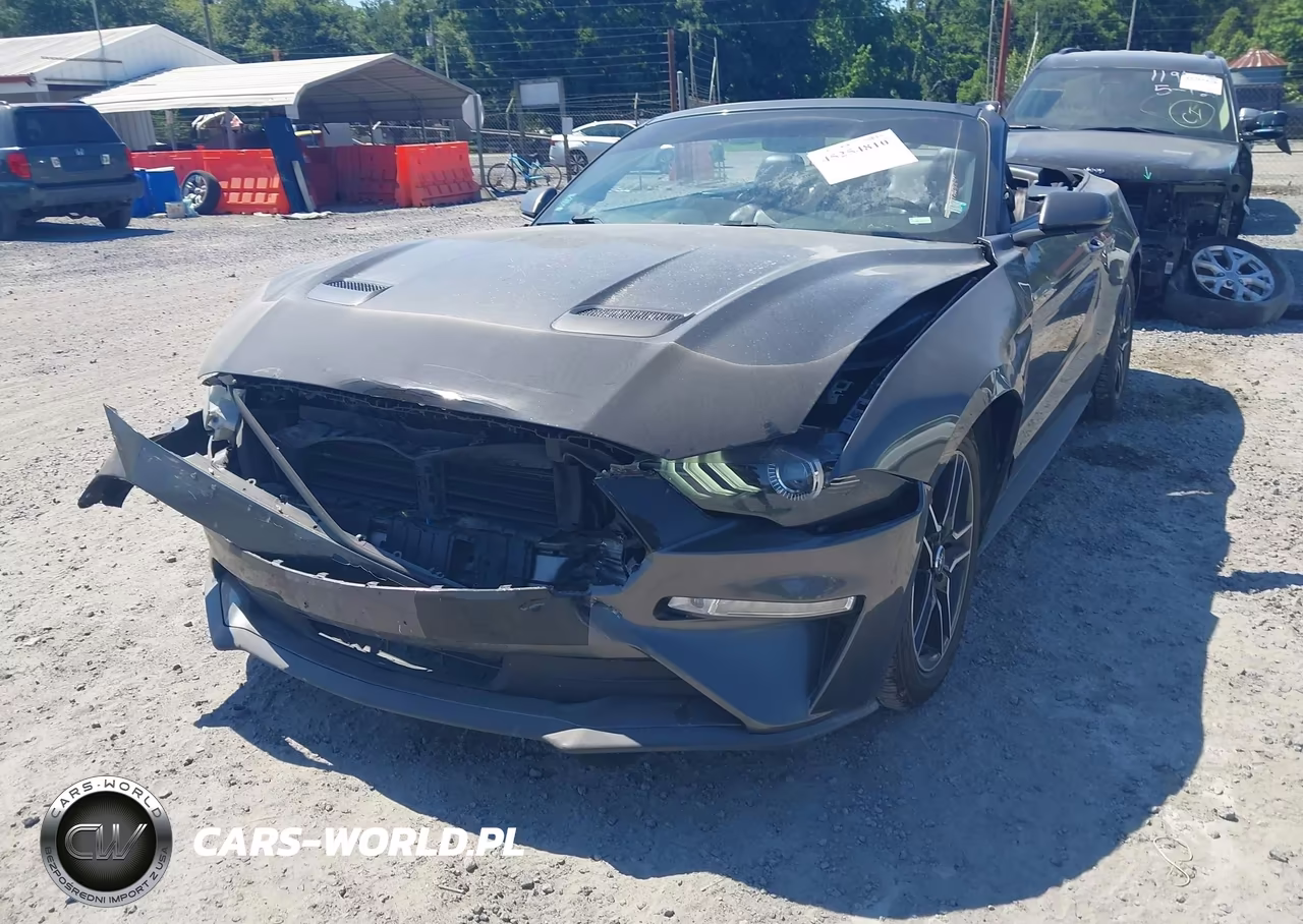 2019 Ford Mustang Ecoboost Premium VIN:1FATP8UH6K5158684 - 6
