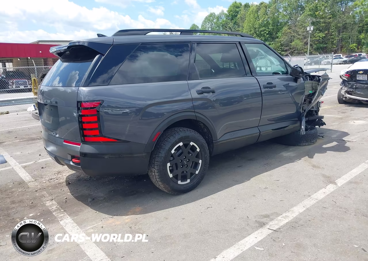 2026 Hyundai Palisade Xrt Pro VIN:KM8RJES27TU070054 - 4