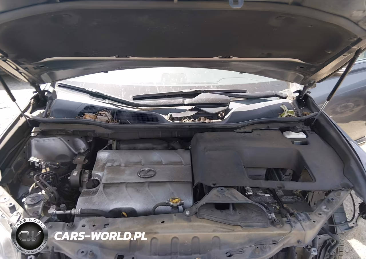 2014 Lexus Rx 350 VIN:2T2BK1BA5EC226686 - 10