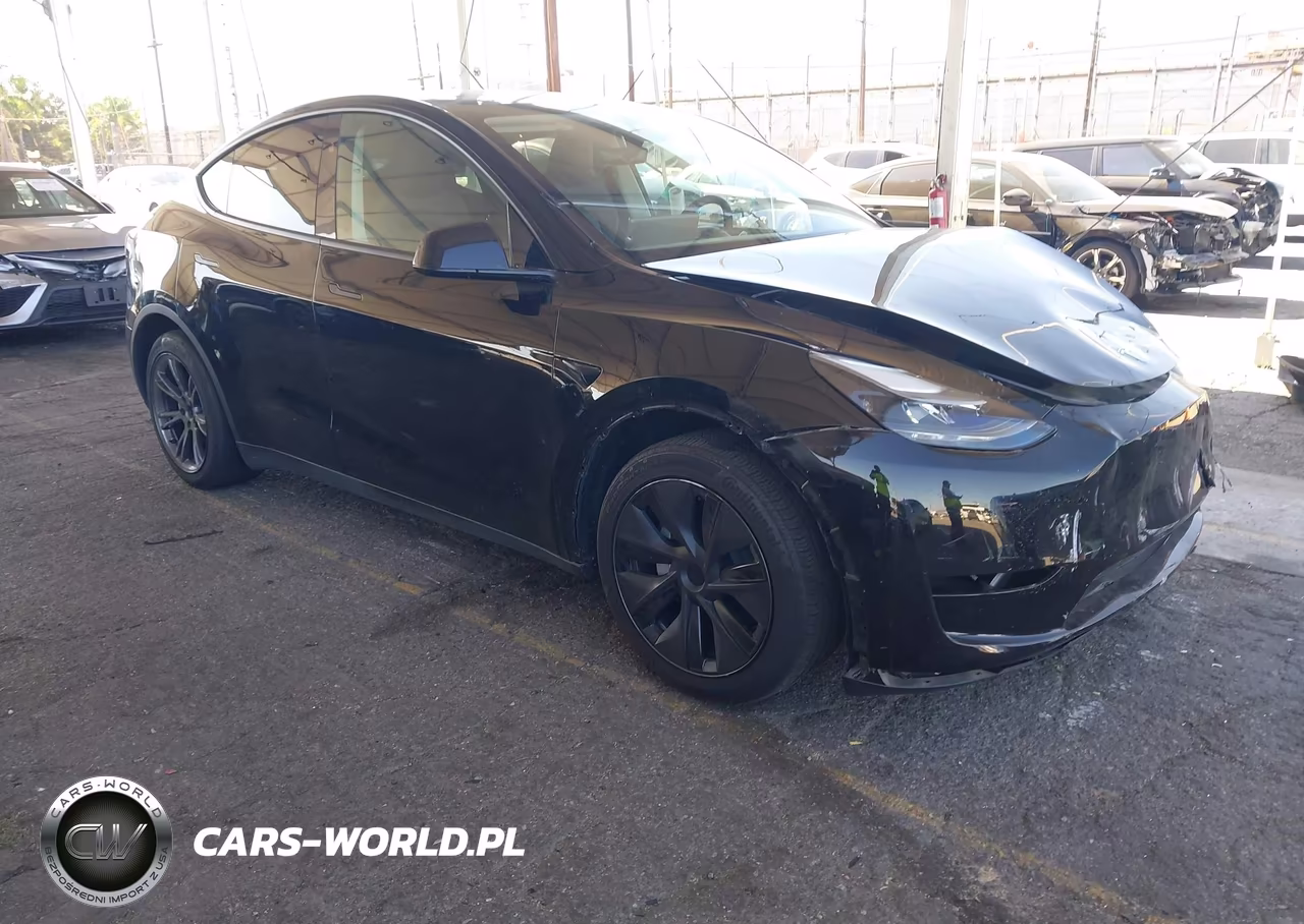2025 Tesla Model Y Long Range Dual Motor All-Wheel Drive VIN:7SAYGAEE0SF249544 - 1