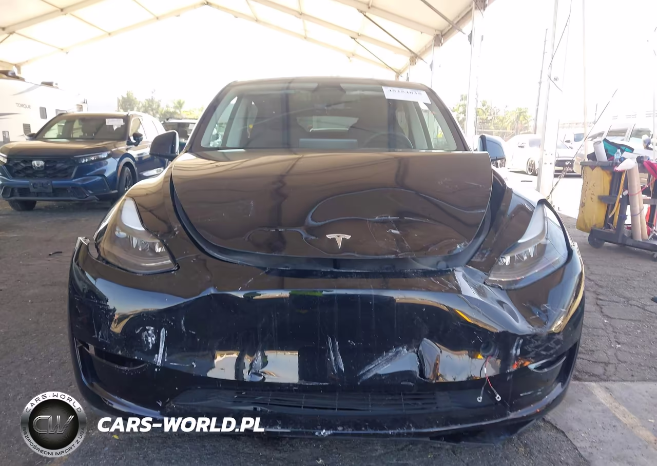 2025 Tesla Model Y Long Range Dual Motor All-Wheel Drive VIN:7SAYGAEE0SF249544 - 11