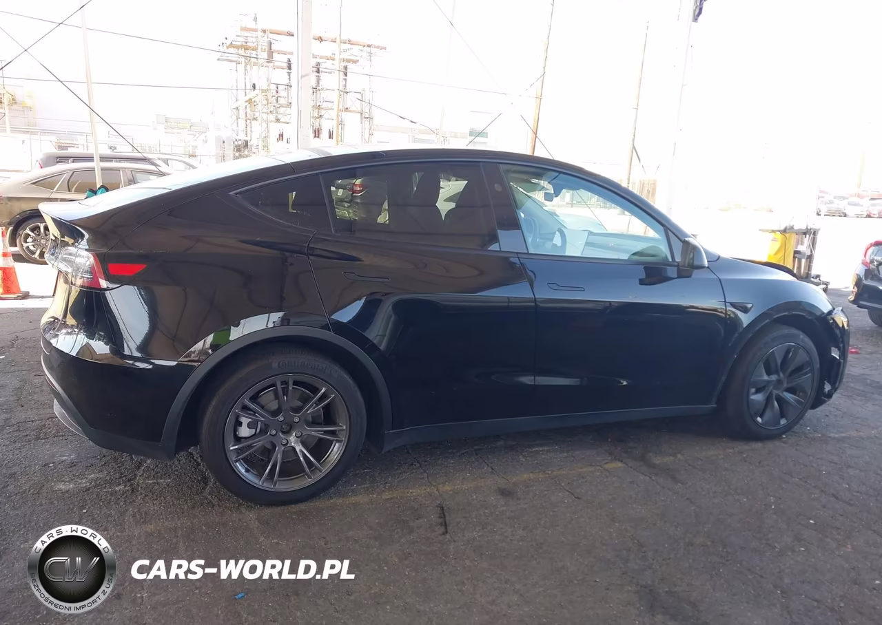 2025 Tesla Model Y Long Range Dual Motor All-Wheel Drive VIN:7SAYGAEE0SF249544 - 12
