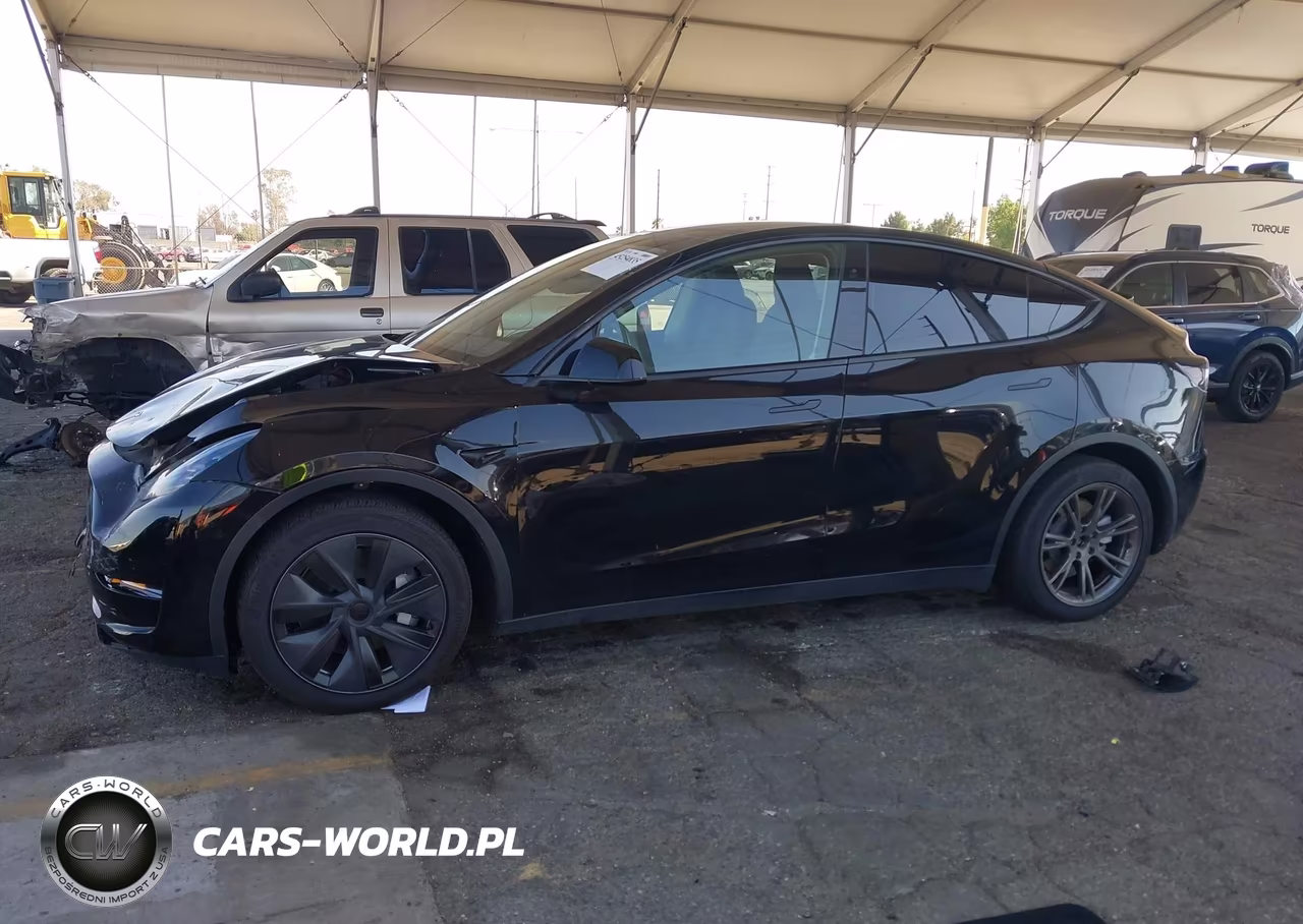 2025 Tesla Model Y Long Range Dual Motor All-Wheel Drive VIN:7SAYGAEE0SF249544 - 13
