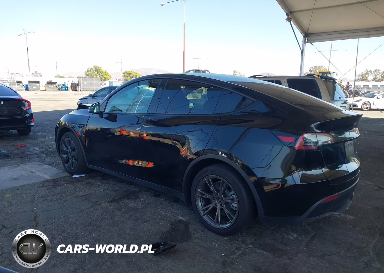 2025 Tesla Model Y Long Range Dual Motor All-Wheel Drive VIN:7SAYGAEE0SF249544 - 3