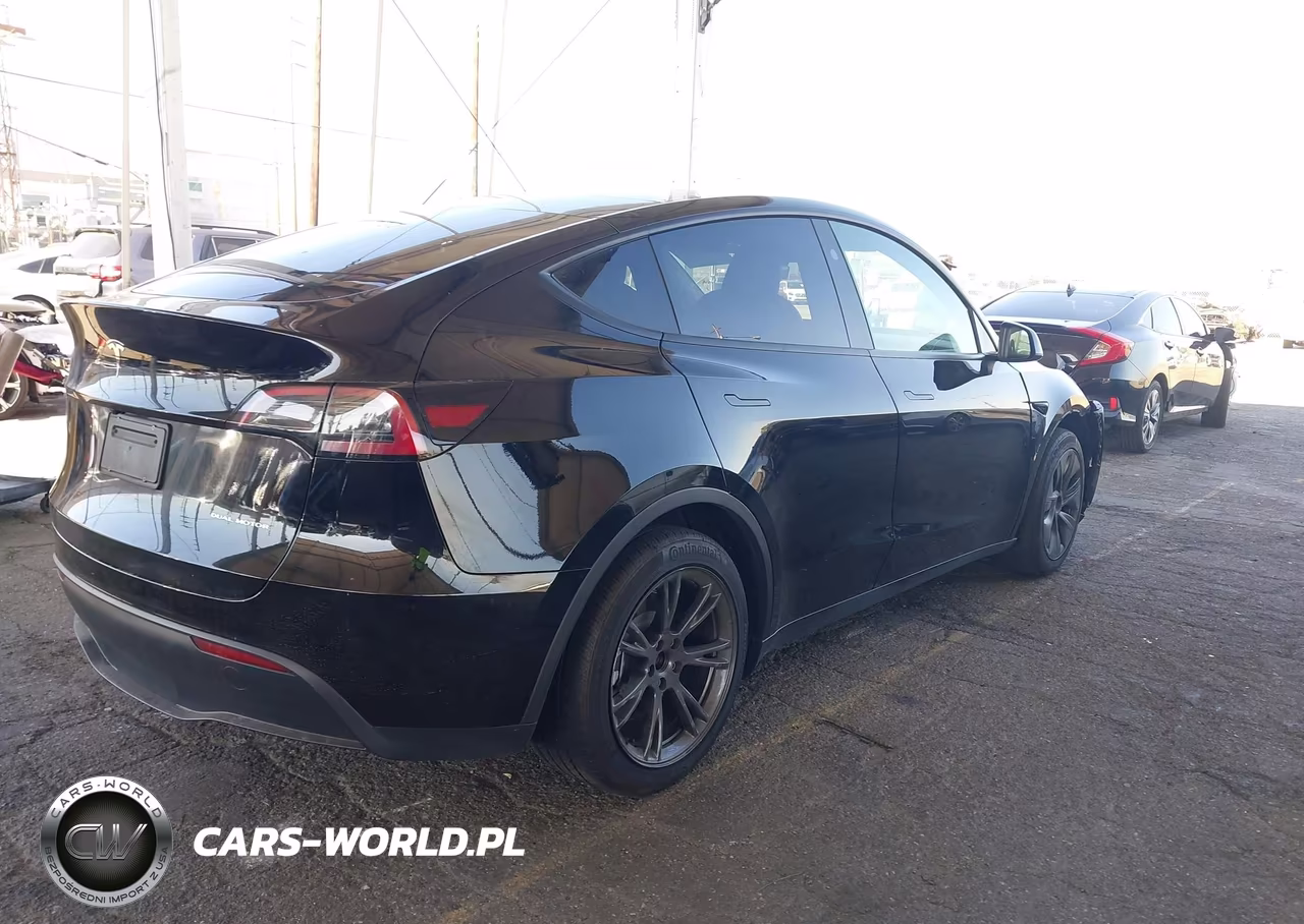 2025 Tesla Model Y Long Range Dual Motor All-Wheel Drive VIN:7SAYGAEE0SF249544 - 4