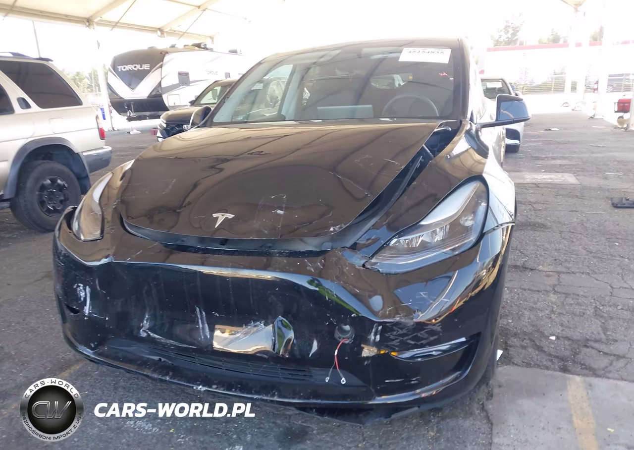 2025 Tesla Model Y Long Range Dual Motor All-Wheel Drive VIN:7SAYGAEE0SF249544 - 6