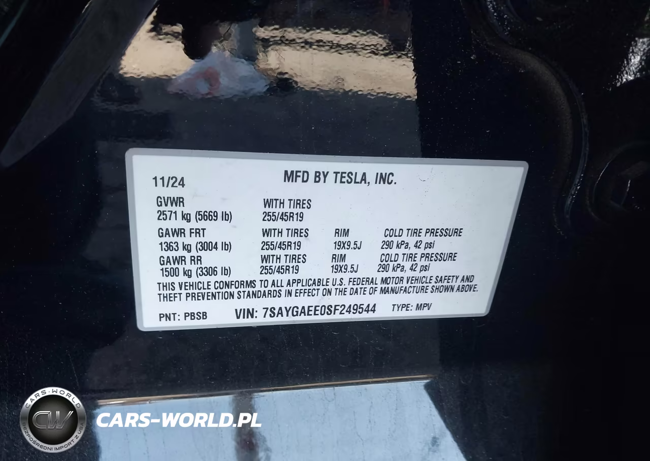 2025 Tesla Model Y Long Range Dual Motor All-Wheel Drive VIN:7SAYGAEE0SF249544 - 9