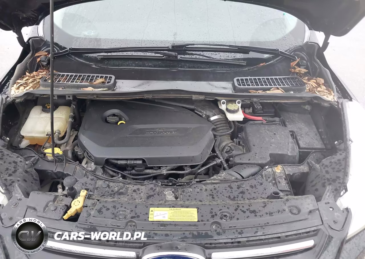 2014 Ford Escape Se VIN:1FMCU0GX3EUB39569 - 10