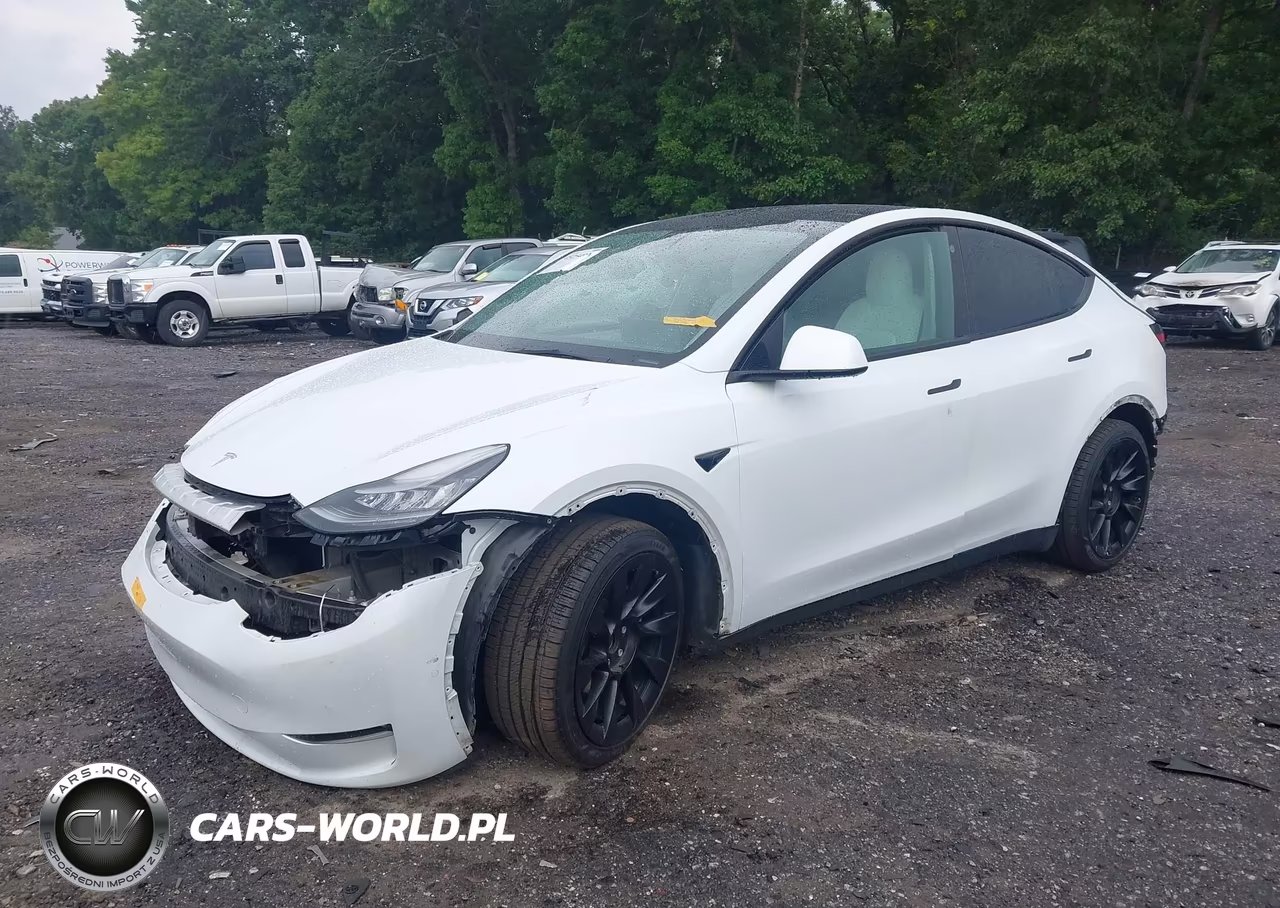 2021 Tesla Model Y Standard Range Rear-Wheel Drive VIN:5YJYGDED9MF181396 - 2