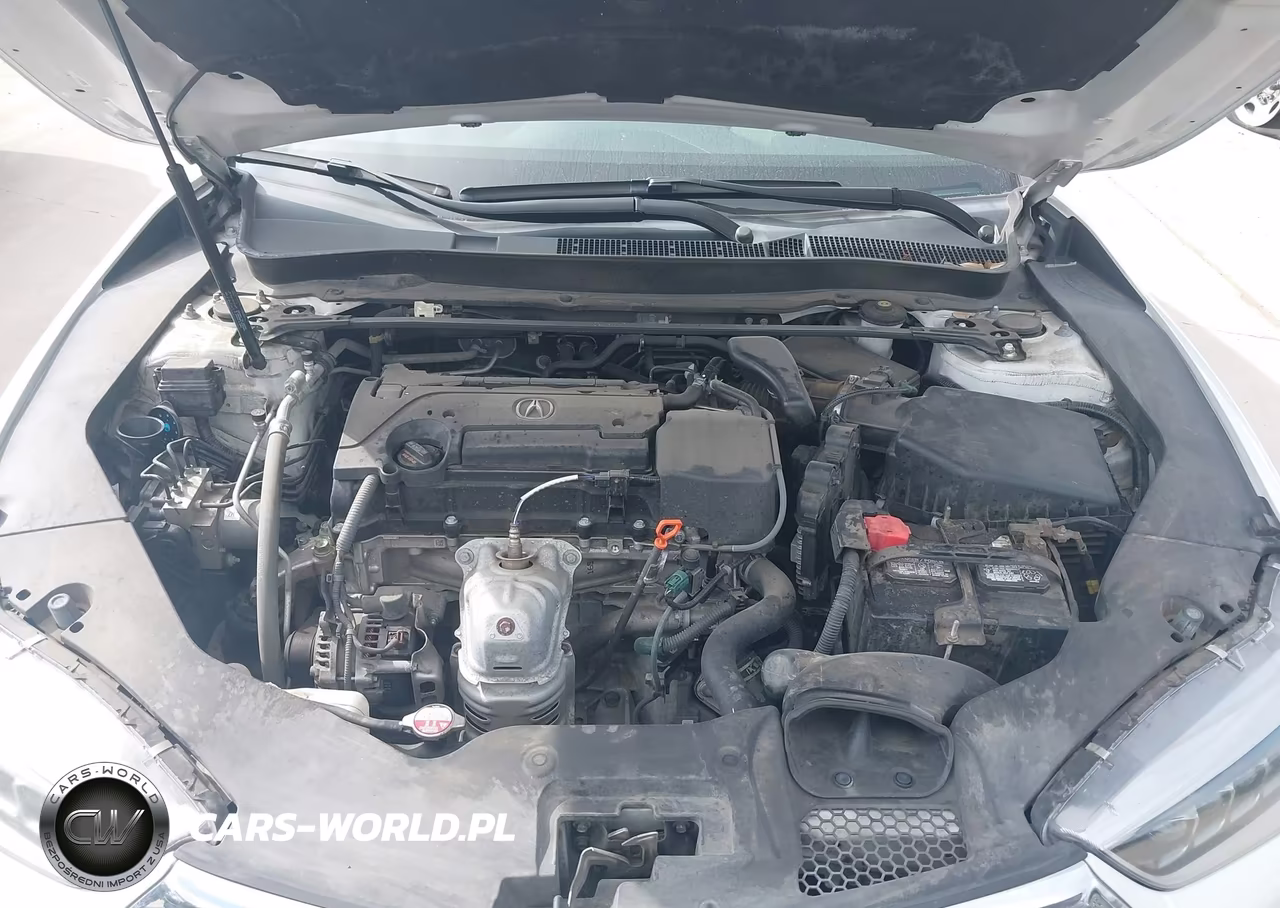 2019 Acura Tlx Standard VIN:19UUB1F38KA009367 - 10