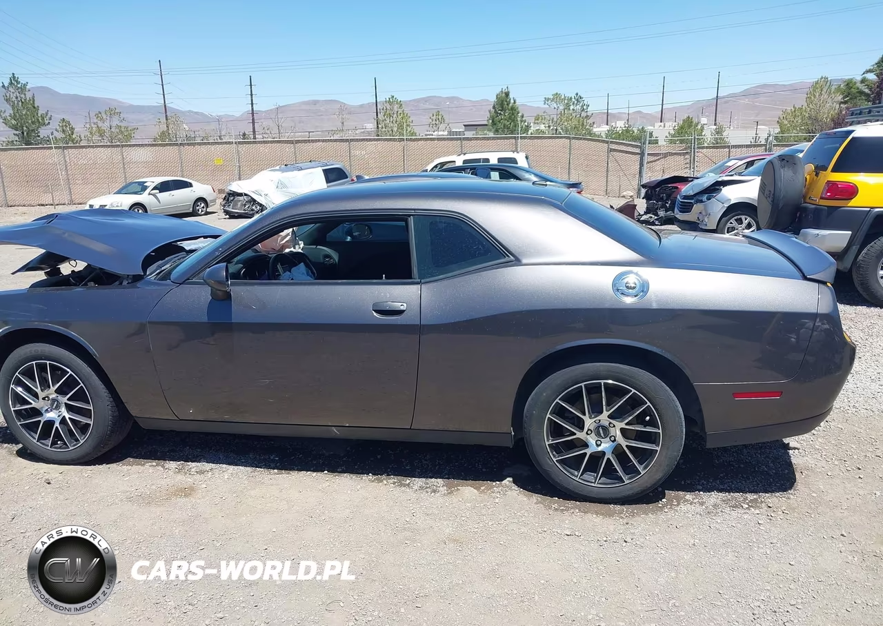 2019 Dodge Challenger Sxt Awd VIN:2C3CDZGG0KH656517 - 14