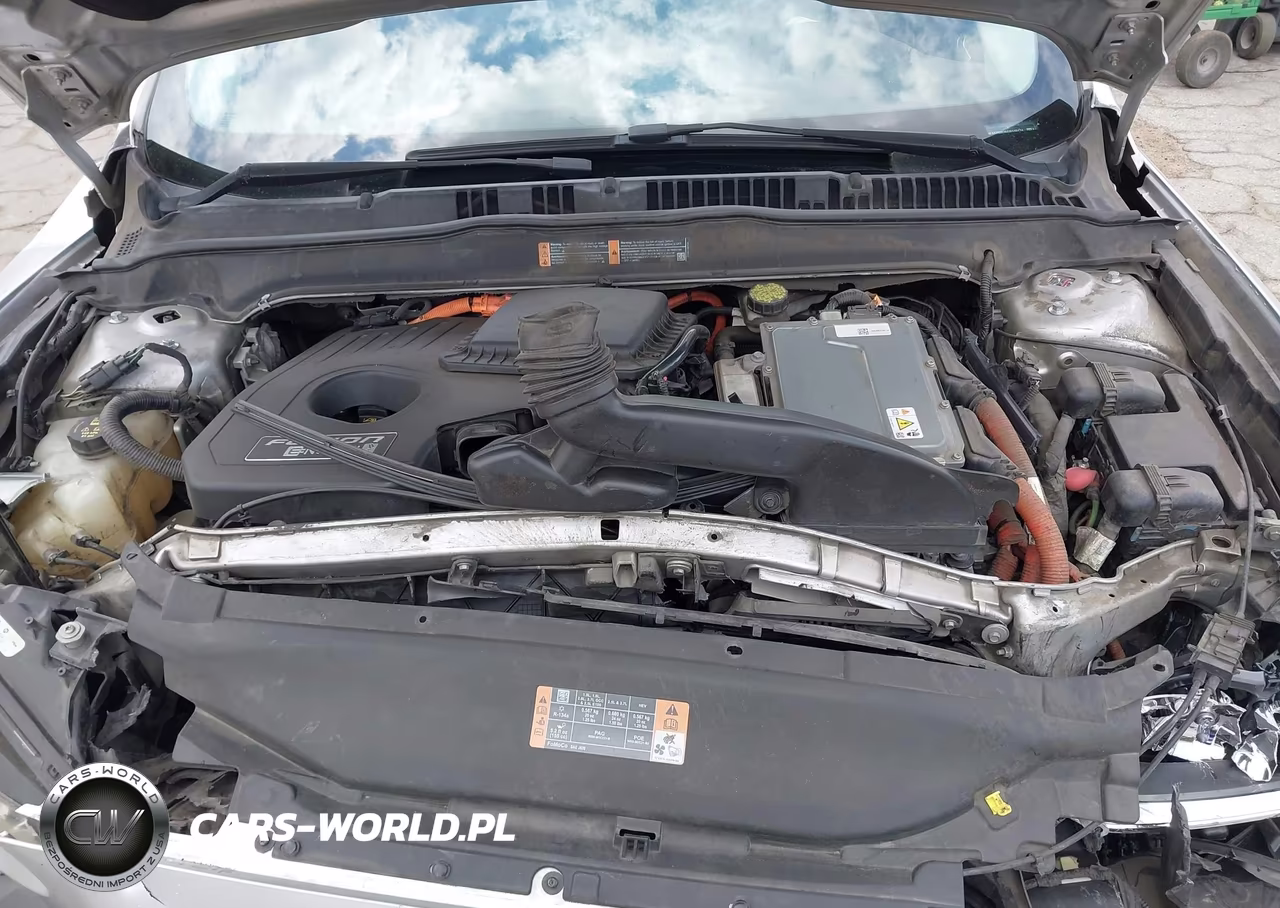 2016 Ford Fusion Energi Titanium VIN:3FA6P0SU6GR115174 - 10