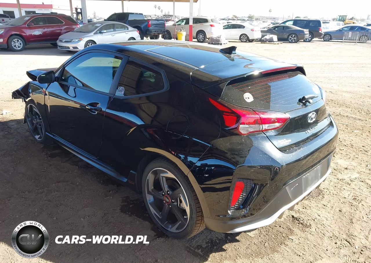 2019 Hyundai Veloster Turbo VIN:KMHTH6AB6KU020642 - 3