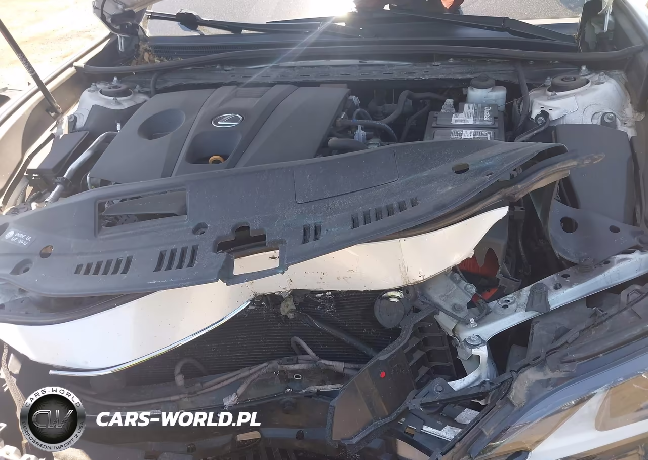 2021 Lexus Es 250 VIN:58AD11D17MU006582 - 10