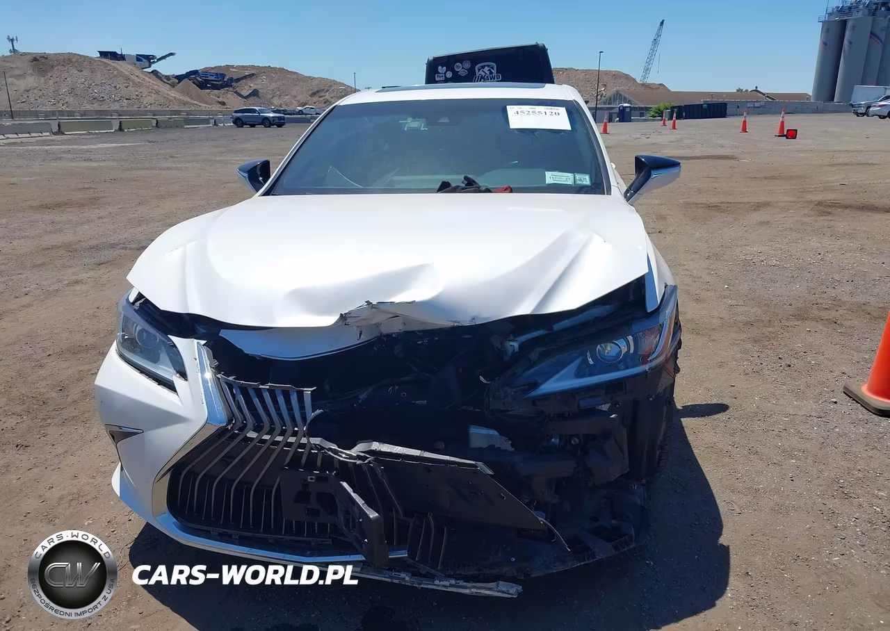 2021 Lexus Es 250 VIN:58AD11D17MU006582 - 12