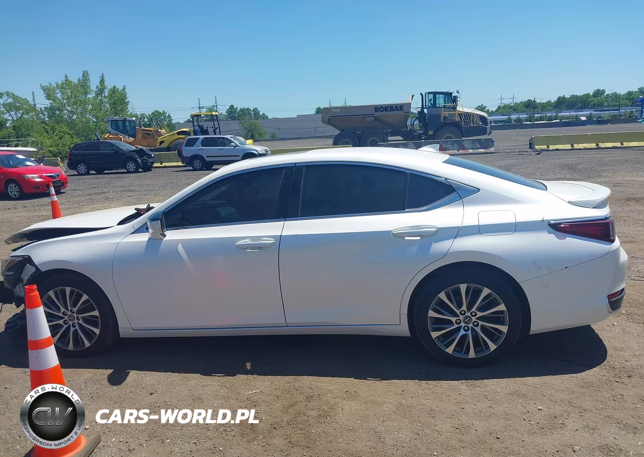 2021 Lexus Es 250 VIN:58AD11D17MU006582 - 14