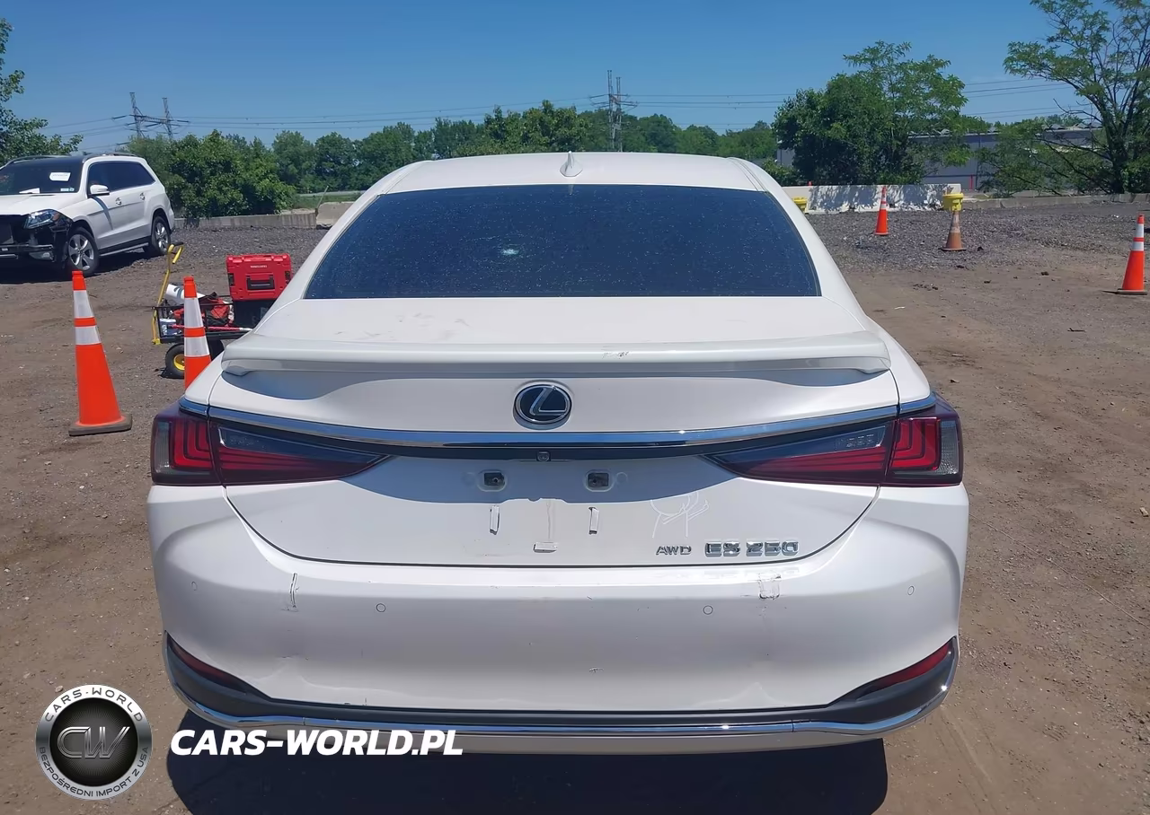 2021 Lexus Es 250 VIN:58AD11D17MU006582 - 16