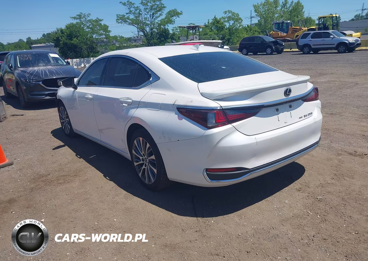 2021 Lexus Es 250 VIN:58AD11D17MU006582 - 3