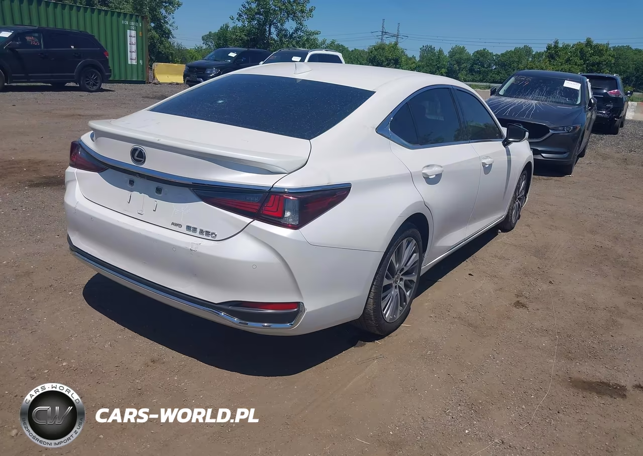 2021 Lexus Es 250 VIN:58AD11D17MU006582 - 4