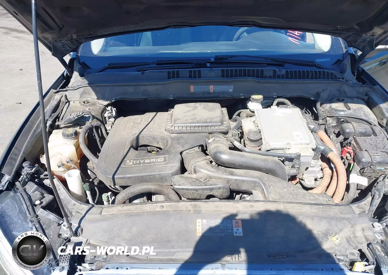 2017 Ford Fusion Hybrid Se VIN:3FA6P0LU2HR231018 - 10