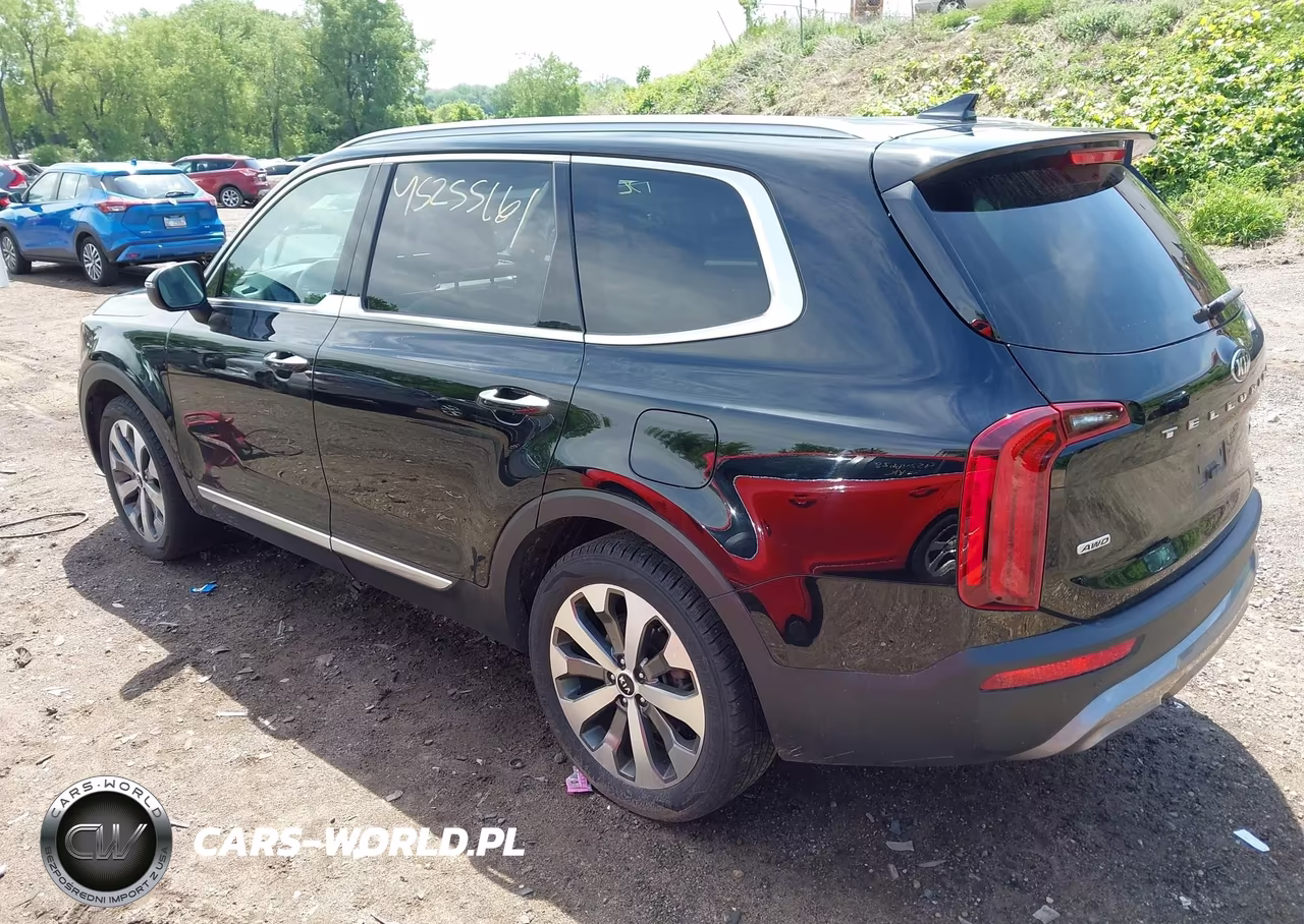 2020 Kia Telluride S VIN:5XYP6DHCXLG095734 - 3