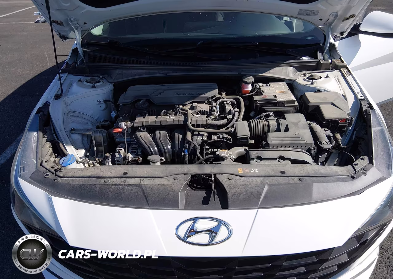 2023 Hyundai Elantra Sel VIN:5NPLM4AGXPH118476 - 10