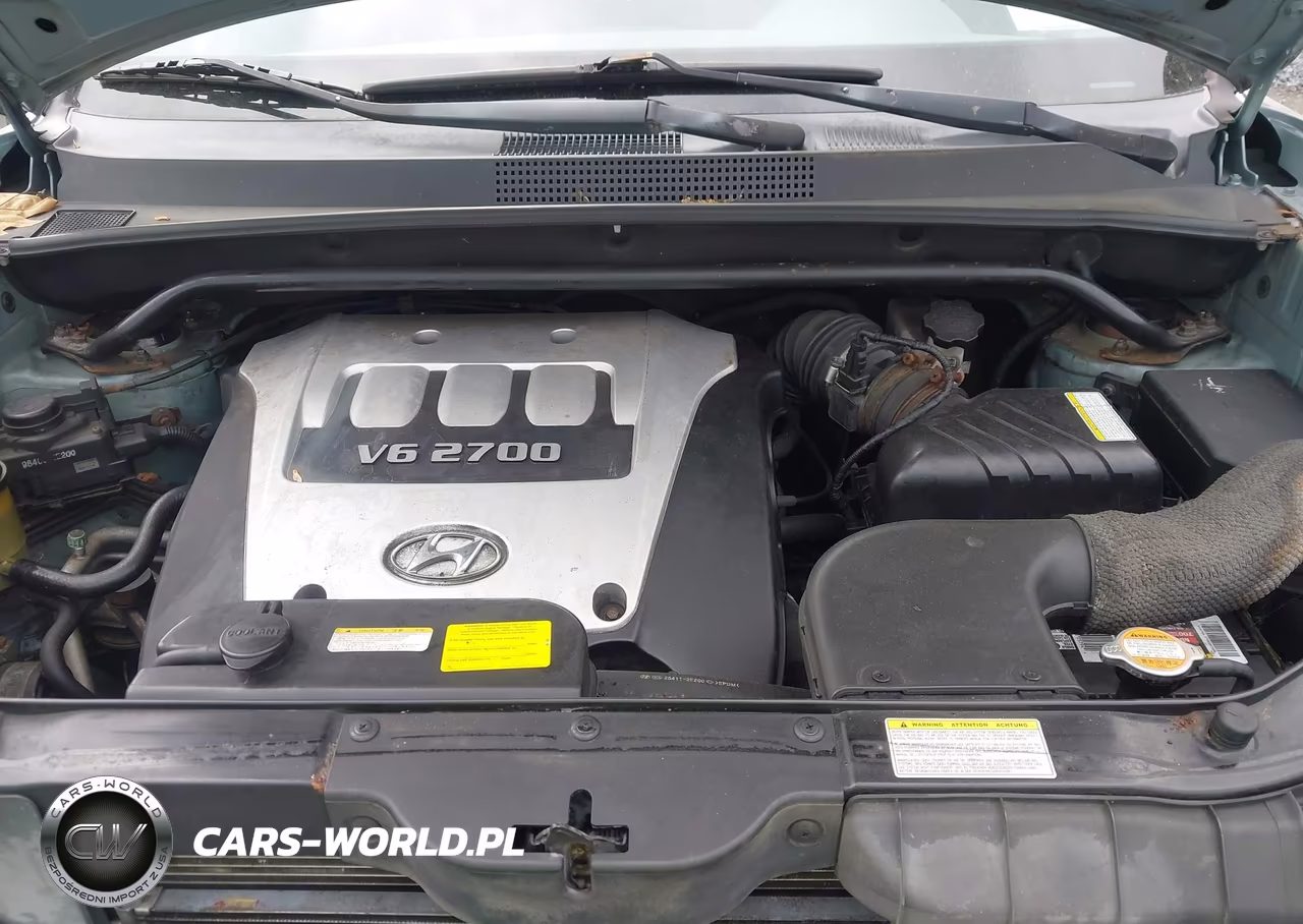 2005 Hyundai Tucson Gls-Lx VIN:KM8JN72D95U171372 - 10