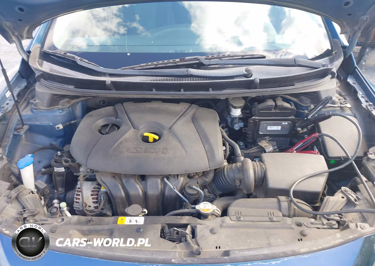 2015 Hyundai Elantra Gt VIN:KMHD35LHXFU237874 - 10