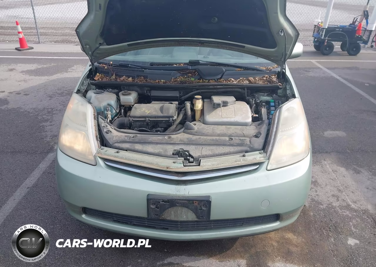 2006 Toyota Prius VIN:JTDKB20U167521603 - 10