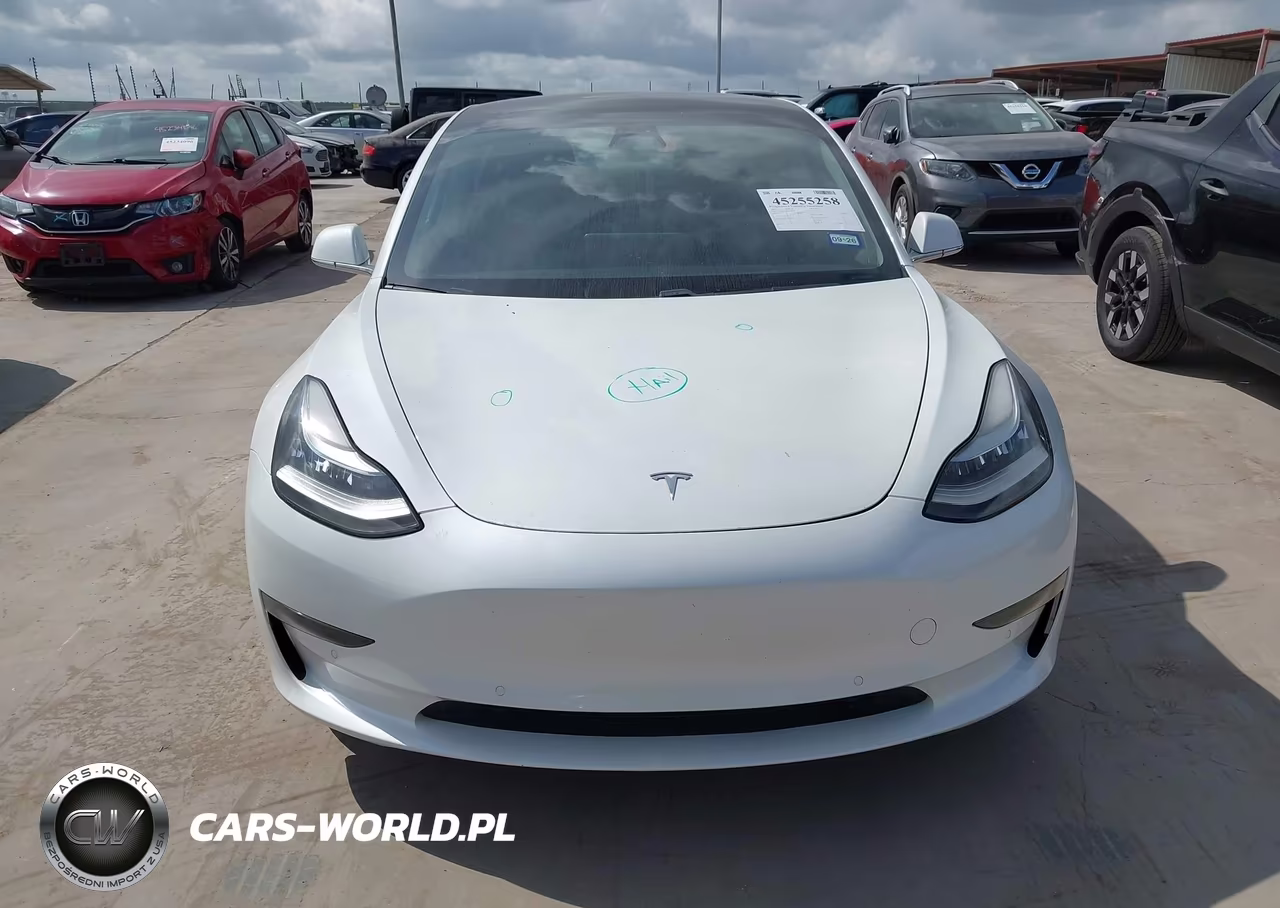 2020 Tesla Model 3 Standard Range Plus Rear-Wheel Drive-Standard Range Rear-Wheel Drive VIN:5YJ3E1EA9LF708999 - 11