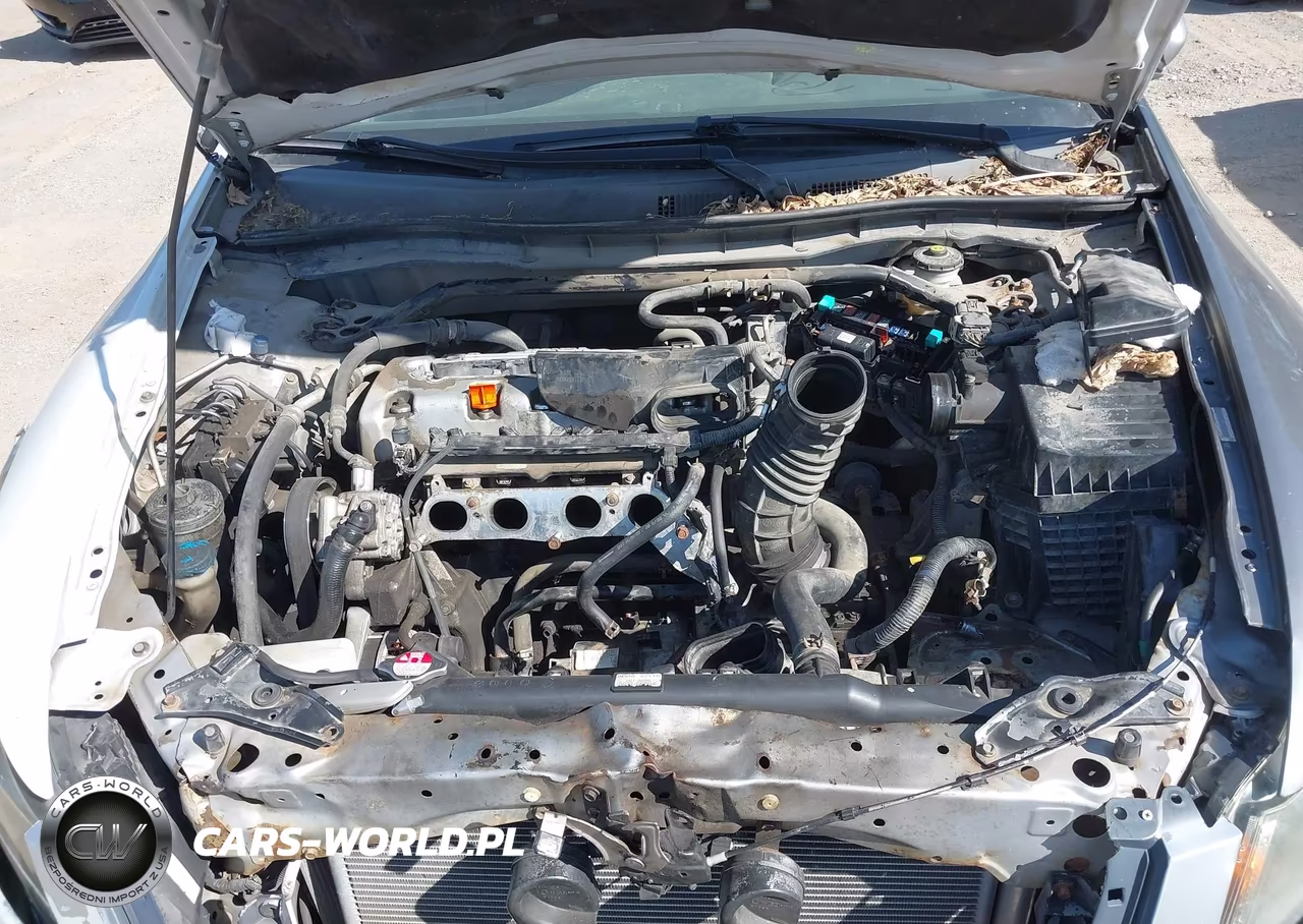 2010 Honda Accord 2.4 Ex VIN:1HGCP2F78AA014184 - 10