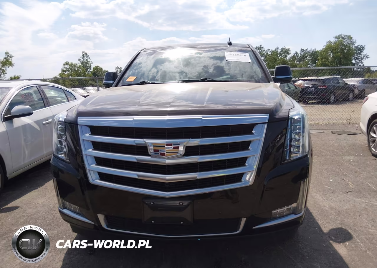 2017 Cadillac Escalade Luxury VIN:1GYS4BKJ3HR398966 - 12