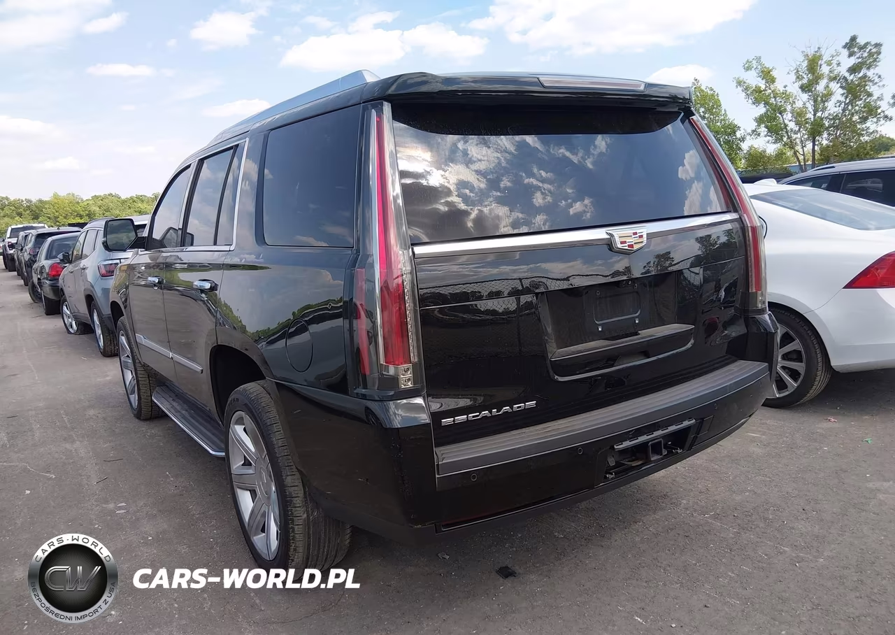 2017 Cadillac Escalade Luxury VIN:1GYS4BKJ3HR398966 - 3
