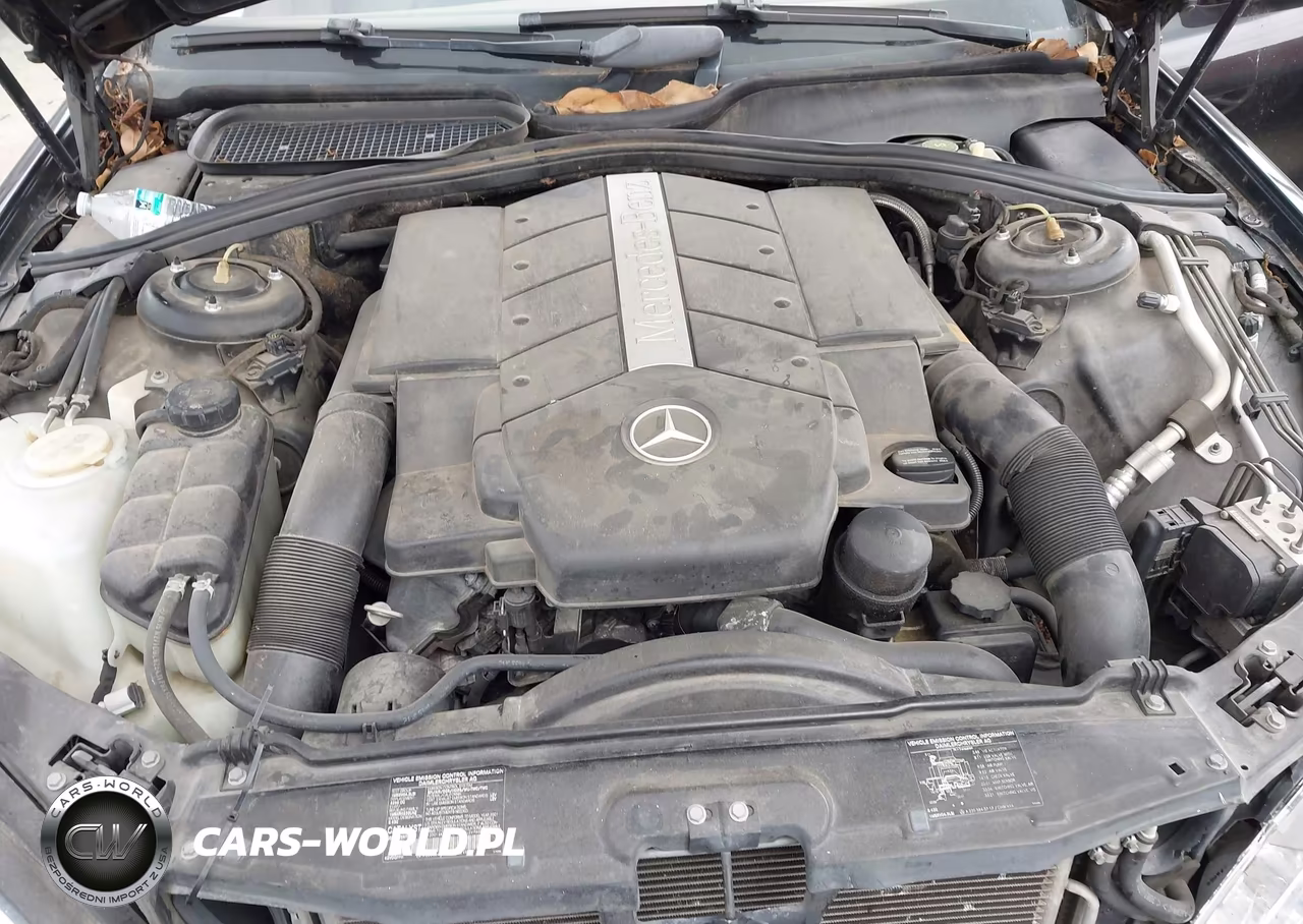 2001 Mercedes-Benz S 430 VIN:WDBNG70J91A193178 - 10